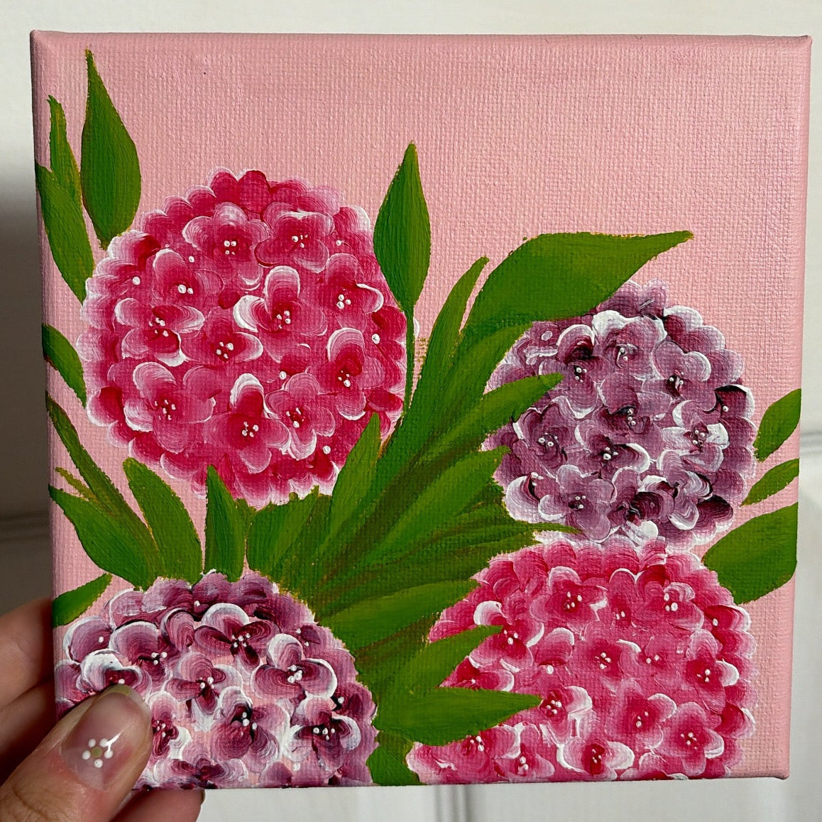 Pink Hydrangeas