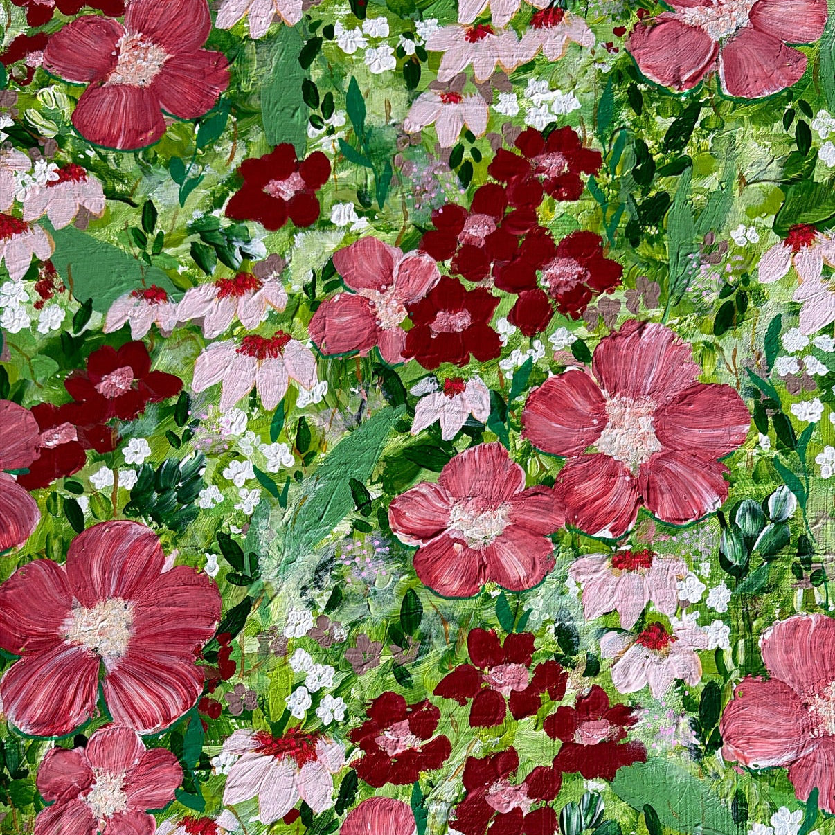 Rosa fields