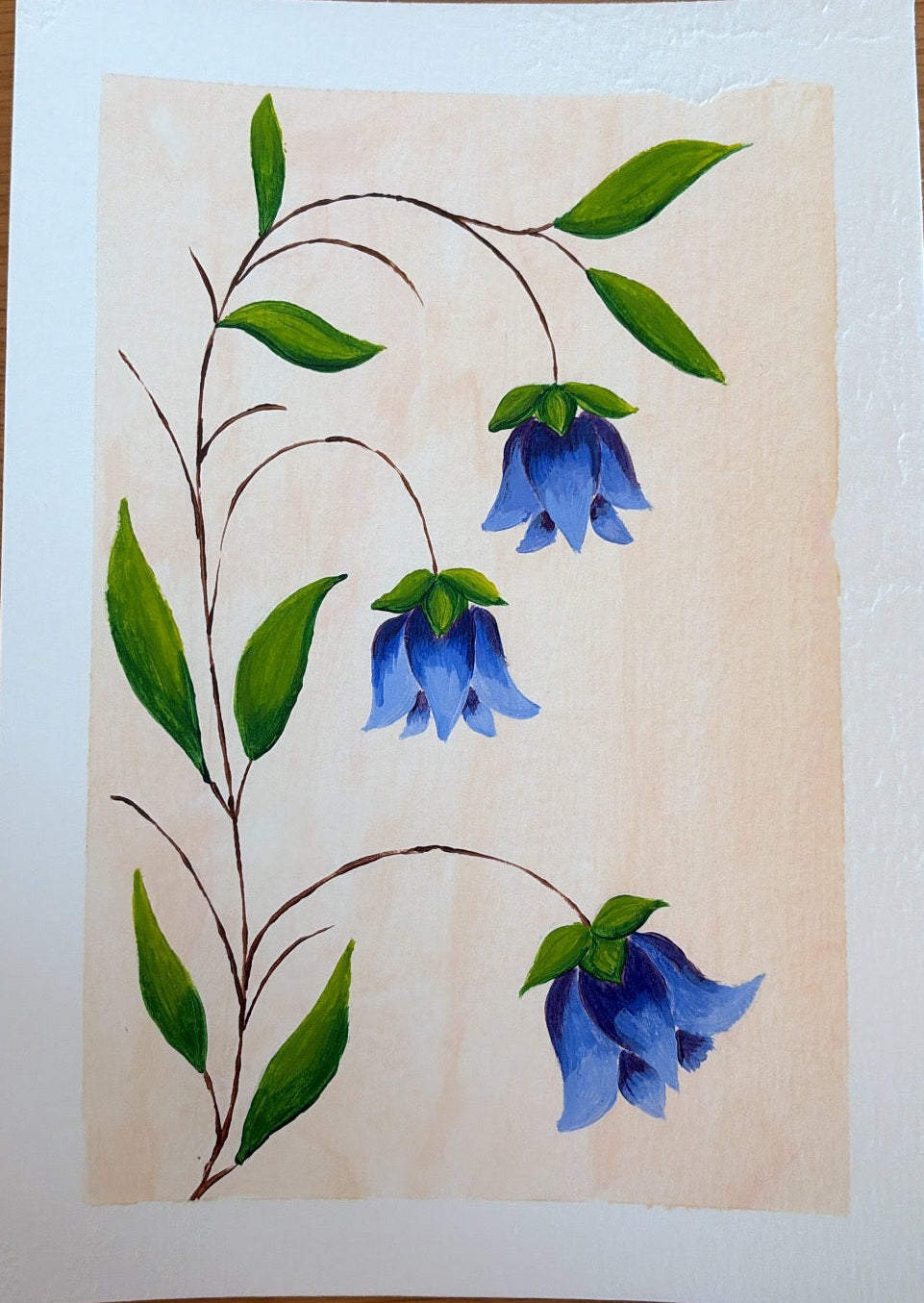 Bluebells